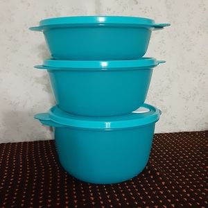 CrystalFlash Tupperware Set